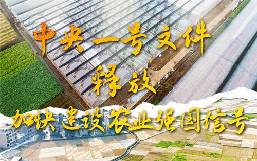 權威部門話開局｜中央一號文件釋放加快建設農(nóng)業(yè)強國信號