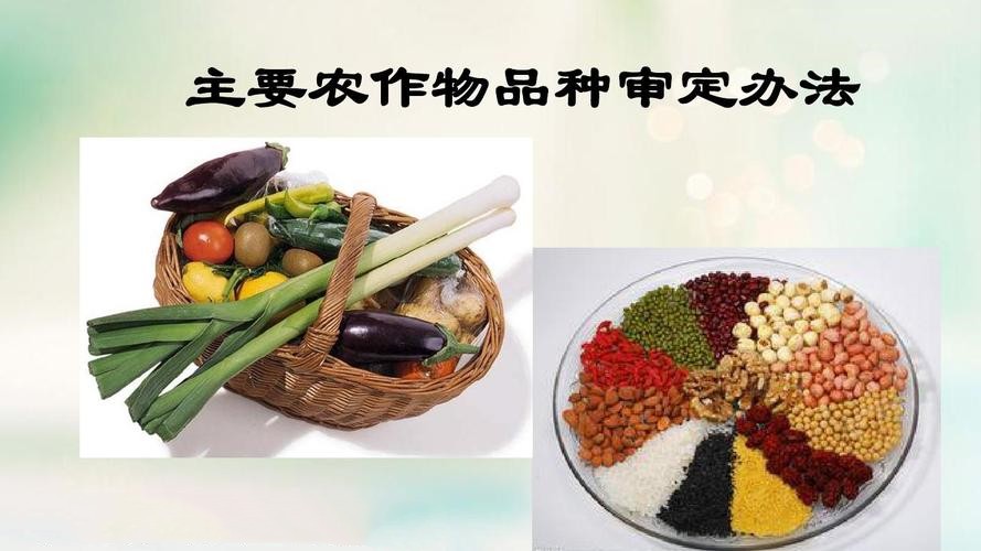 我國四大作物試行實(shí)質(zhì)性派生品種制度