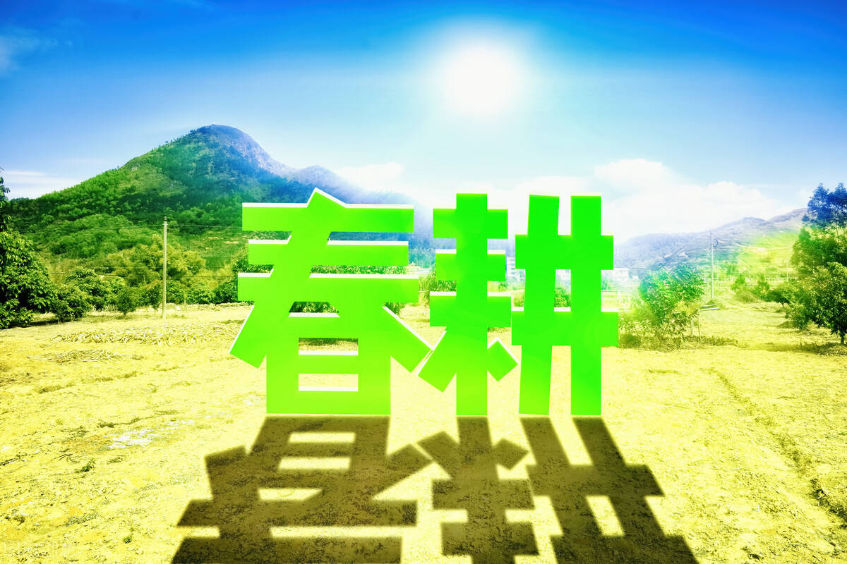 多措并舉  農(nóng)民種糧更有奔頭（春耕探行·高起點保障糧食安全）