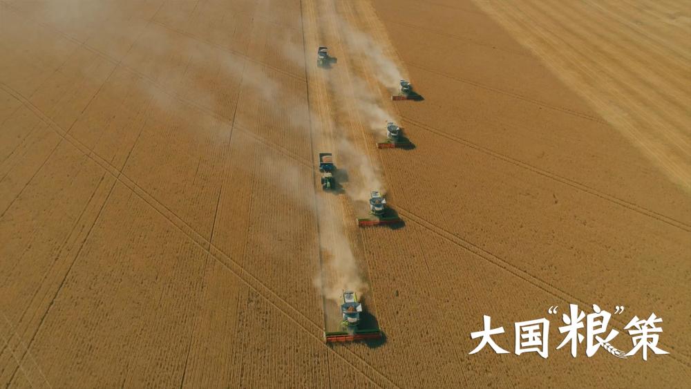 全方位夯實糧食安全根基