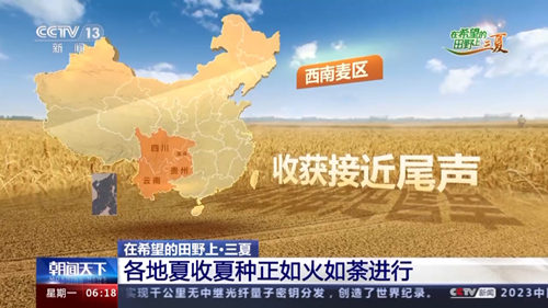 中國豐收地圖來啦！一組數(shù)字看三夏