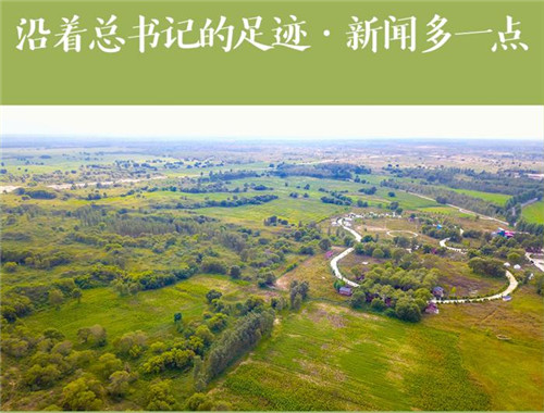 沿著總書記的足跡·新聞多一點(diǎn)｜“三北”工程，綿亙?nèi)f里的綠色長(zhǎng)城