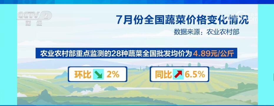 7月份全國蔬菜價(jià)格季節(jié)性下行 “菜籃子”供應(yīng)有保障