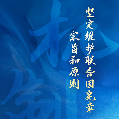 跟著習(xí)主席看世界｜堅持遵守聯(lián)合國憲章宗旨和原則