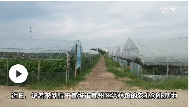 做家鄉(xiāng)泥土地里的“生物學霸”