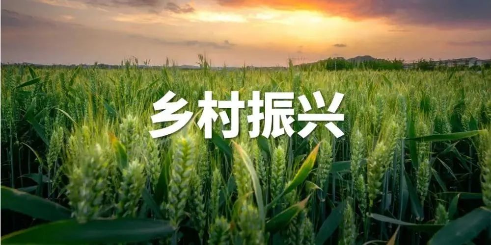 把農(nóng)業(yè)建設成為大產(chǎn)業(yè)（全面推進鄉(xiāng)村振興）