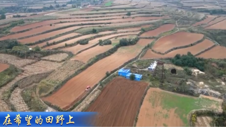 【在希望的田野上】各地加緊秋糧收獲 有序推進秋冬種