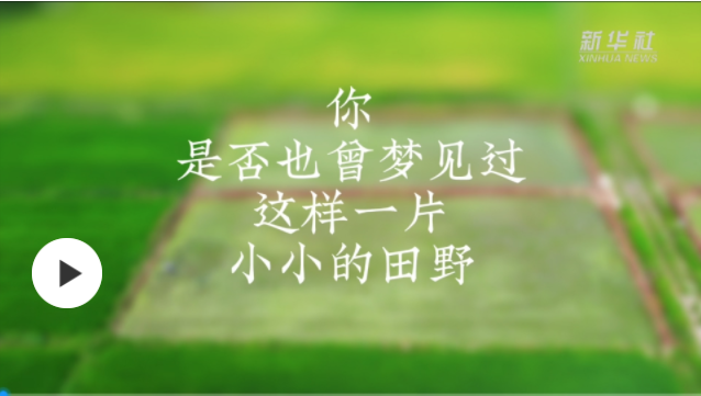 移軸鏡頭看一場超夢幻的春耕