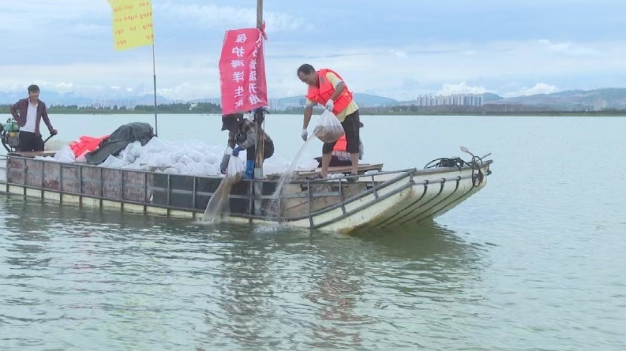 創(chuàng)歷次之最！中越聯(lián)合放流1.28億尾水生生物