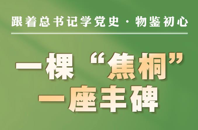 跟著總書記學(xué)黨史·物鑒初心|一棵“焦桐” 一座豐碑