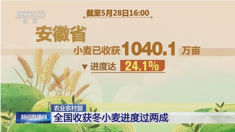 農(nóng)業(yè)農(nóng)村部：全國收獲冬小麥進(jìn)度過兩成