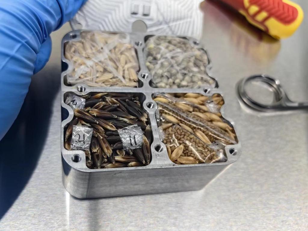 我國優(yōu)質牧草種質資源完成首次太空艙外暴露實驗