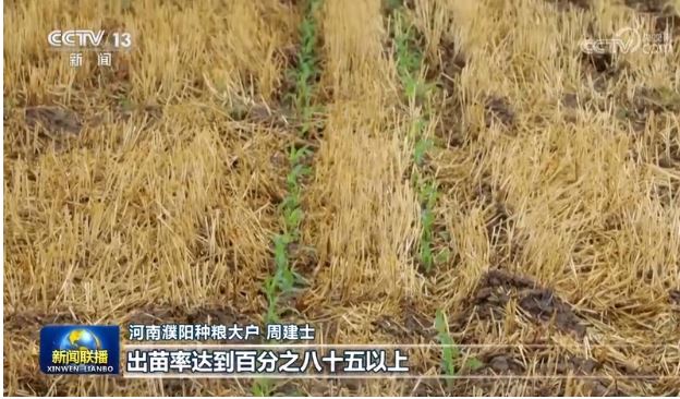 抗旱保夏播 夯實秋糧豐收基礎(chǔ)