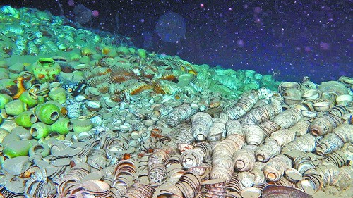 南海西北陸坡一號、二號沉船遺址提取文物928件（套）