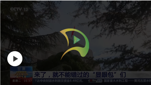 這些博物館的“顯眼包”們，贏麻了！