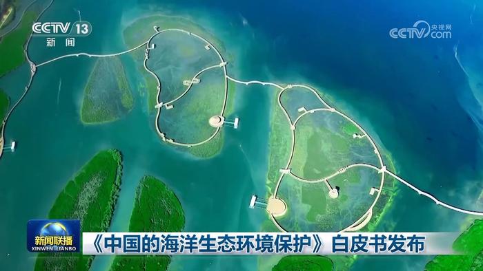 《中國(guó)的海洋生態(tài)環(huán)境保護(hù)》白皮書發(fā)布 力爭(zhēng)2035年全國(guó)283個(gè)海灣“各美其美”