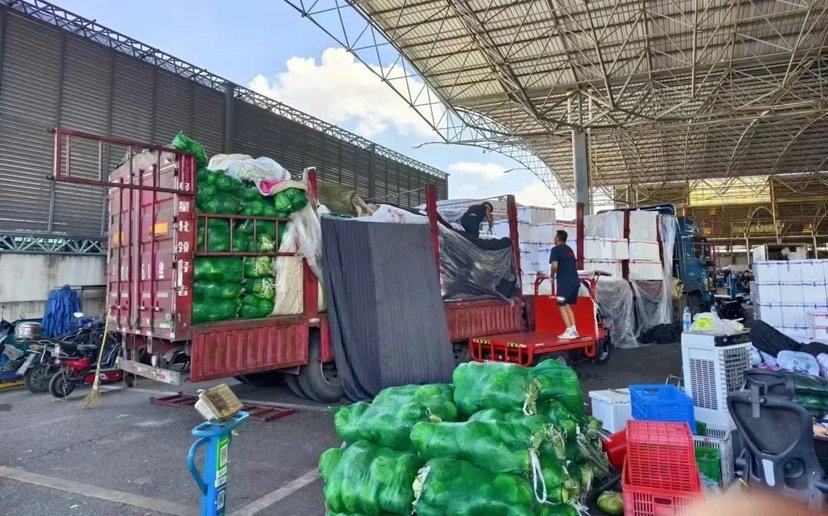 多措并舉保障蔬菜市場供應：抓好防災減災、擴大采購渠道、提高栽培效率……