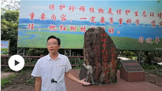 35年接力,少先隊(duì)員守護(hù)紅樹林