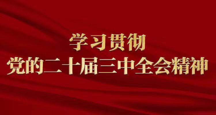 做進(jìn)一步全面深化改革的促進(jìn)派實(shí)干家（學(xué)習(xí)貫徹黨的二十屆三中全會精神）