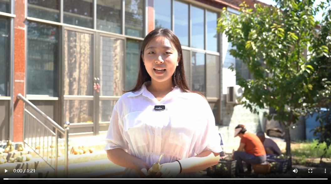聊城臨清市：小葫蘆拓寬增收致富新路徑