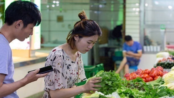雙節(jié)將至菜籃子準備好了嗎
