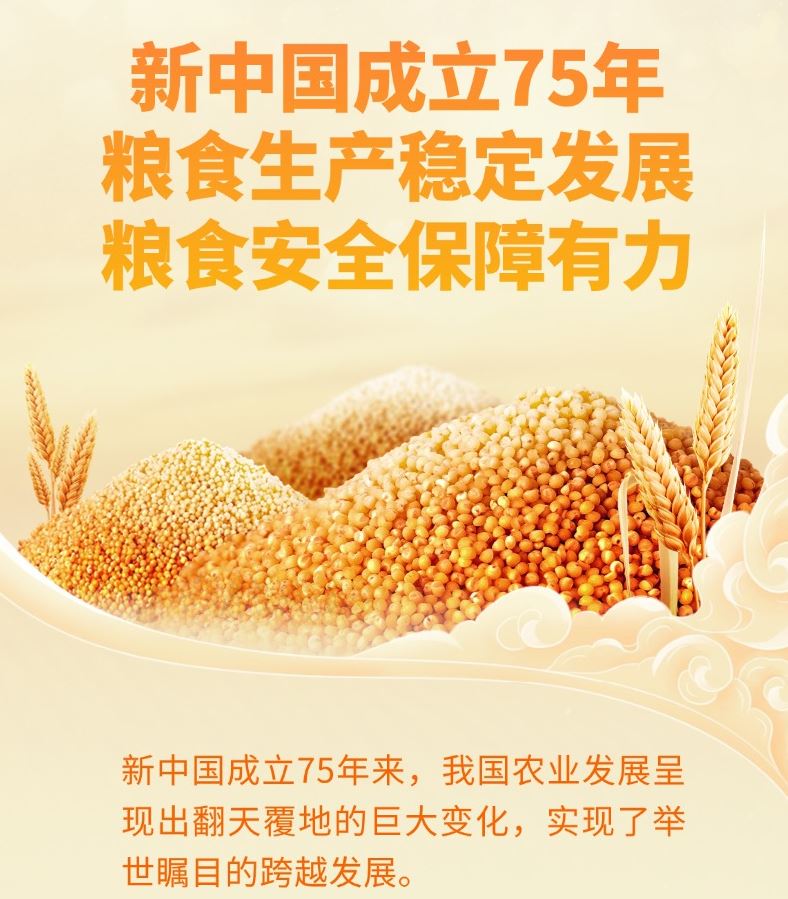 新中國成立75年我國糧食生產(chǎn)穩(wěn)定發(fā)展 糧食安全保障有力