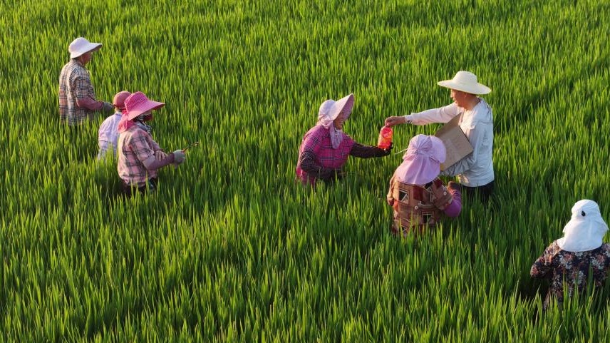 全國(guó)脫貧人口務(wù)工就業(yè)總規(guī)模達(dá)3295.3萬(wàn)人