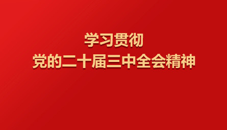 加強黨建引領基層治理（權(quán)威訪談·學習貫徹黨的二十屆三中全會精神）