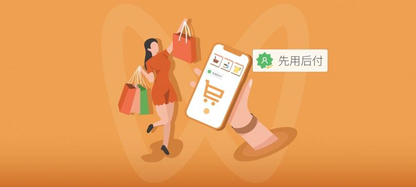 “雙11”0元下單先別急，選擇“先用后付”需注意這些問題