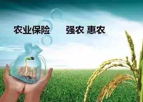 四部門發(fā)文推進(jìn)農(nóng)業(yè)保險(xiǎn)精準(zhǔn)投保理賠