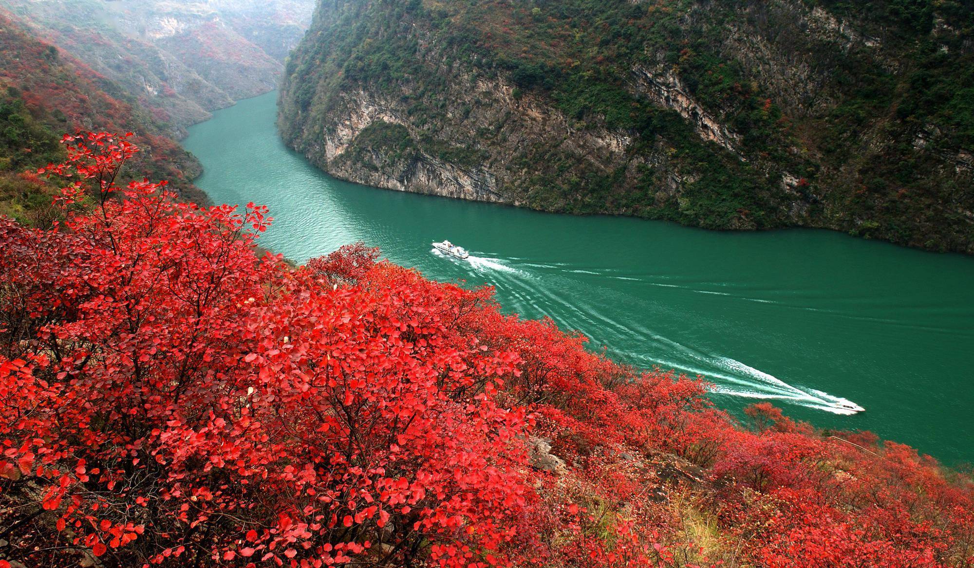 長江三峽規(guī)模最大紅葉節(jié)將開幕