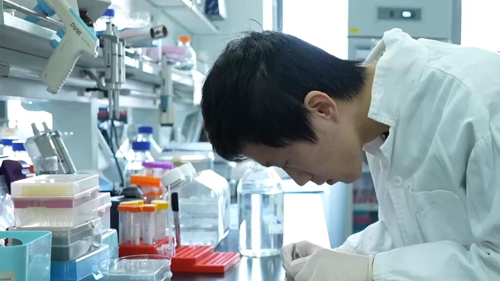 科學家成功解析大腦掌管學習記憶的“分子開關(guān)”