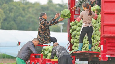糧食產(chǎn)量首次突破1.4萬億斤，農(nóng)業(yè)科技進步貢獻率超過63%繼續(xù)拓寬農(nóng)民增收致富渠道