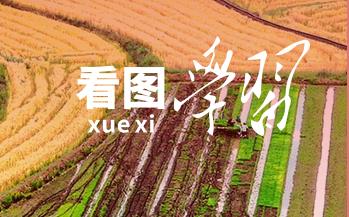 學(xué)習(xí)知行·中國式現(xiàn)代化丨“糧”安中國
