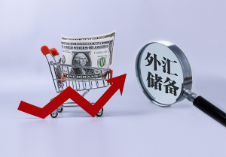 1月末我國外匯儲(chǔ)備規(guī)模32090億美元
