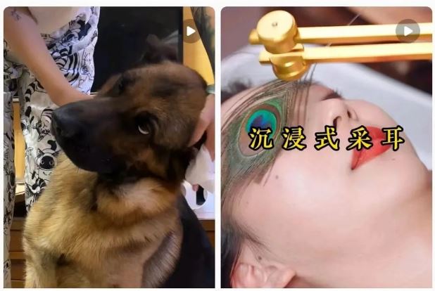 耳朵里長“腳氣”！竟然是因為這個很多人都愛的活動……