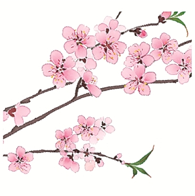 二十四節(jié)氣二十四問(wèn)
