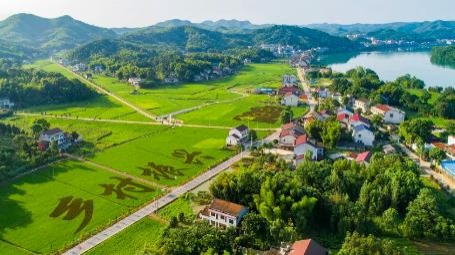 鄉(xiāng)村旅游熱持續(xù)升溫 一季度全國(guó)接待總?cè)舜纬?億