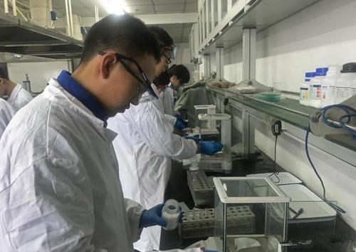 2020年“英才計劃”將選拔900名中學(xué)生接受大學(xué)導(dǎo)師培養(yǎng)